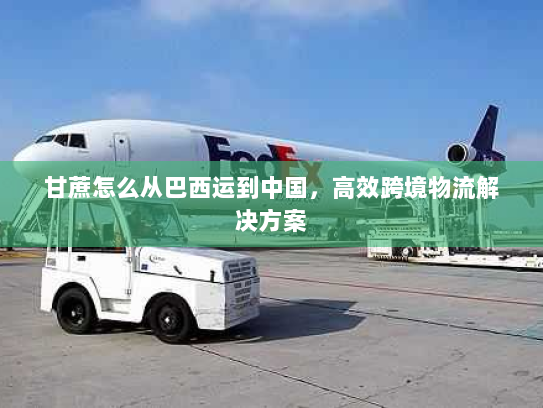 甘蔗怎么从巴西运到中国，高效跨境物流解决方案