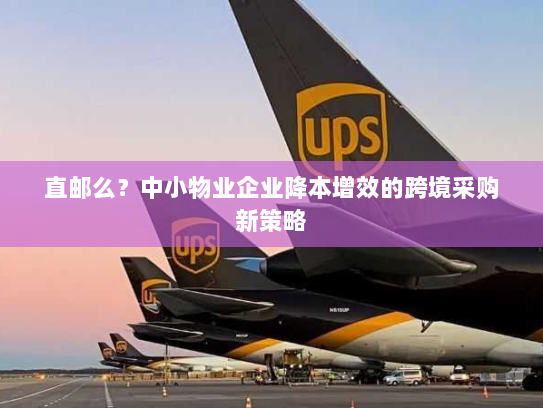 直邮么?中小物业企业降本增效的跨境采购新策略 直邮么?中小物业企业降本增效的跨境采购新策略