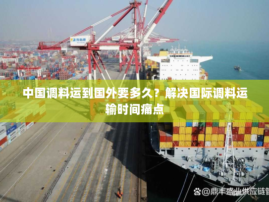 中国调料运到国外要多久?解决国际调料运输时间痛点 中国调料运到国外要多久?解决国际调料运输时间痛点