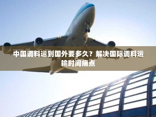 中国调料运到国外要多久?解决国际调料运输时间痛点 中国调料运到国外要多久?解决国际调料运输时间痛点