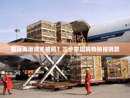 国际海运清关被税?三步拿回购物税报销款 国际海运清关被税?三步拿回购物税报销款