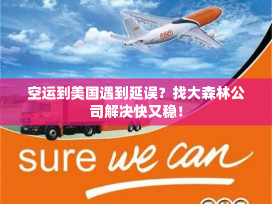 空运到美国遇到延误？找大森林公司解决快又稳！