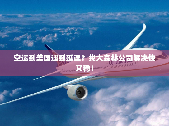 空运到美国遇到延误?找大森林公司解决快又稳! 空运到美国遇到延误?找大森林公司解决快又稳!