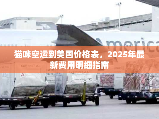 猫咪空运到美国价格表,2025年最新费用明细指南 猫咪空运到美国价格表,2025年最新费用明细指南