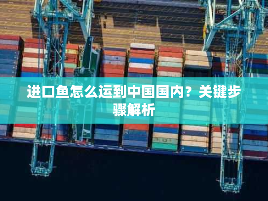 进口鱼怎么运到中国国内？关键步骤解析