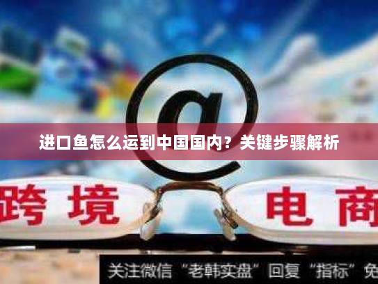 进口鱼怎么运到中国国内?关键步骤解析 进口鱼怎么运到中国国内?关键步骤解析