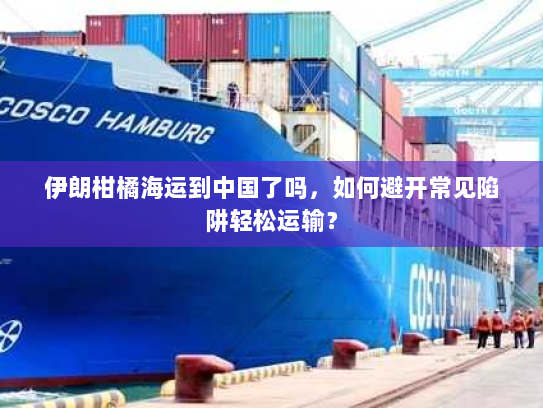 伊朗柑橘海运到中国了吗,如何避开常见陷阱轻松运输? 伊朗柑橘海运到中国了吗,如何避开常见陷阱轻松运输?