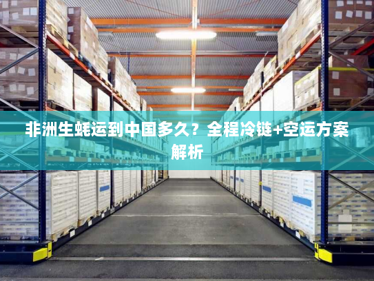 非洲生蚝运到中国多久?全程冷链+空运方案解析 非洲生蚝运到中国多久?全程冷链+空运方案解析
