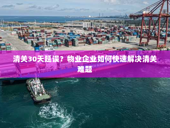 清关30天延误?物业企业如何快速解决清关难题 清关30天延误?物业企业如何快速解决清关难题