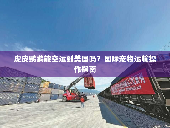 虎皮鹦鹉能空运到美国吗?国际宠物运输操作指南 虎皮鹦鹉能空运到美国吗?国际宠物运输操作指南