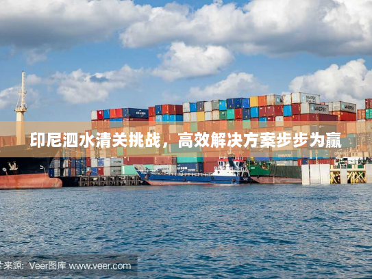 印尼泗水清关挑战,高效解决方案步步为赢 印尼泗水清关挑战,高效解决方案步步为赢