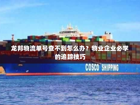 龙邦物流单号查不到怎么办?物业企业必学的追踪技巧 龙邦物流单号查不到怎么办?物业企业必学的追踪技巧