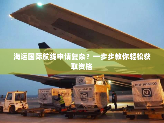海运国际航线申请复杂?一步步教你轻松获取资格 海运国际航线申请复杂?一步步教你轻松获取资格