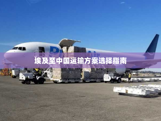埃及至中国运输方案选择指南 埃及至中国运输方案选择指南
