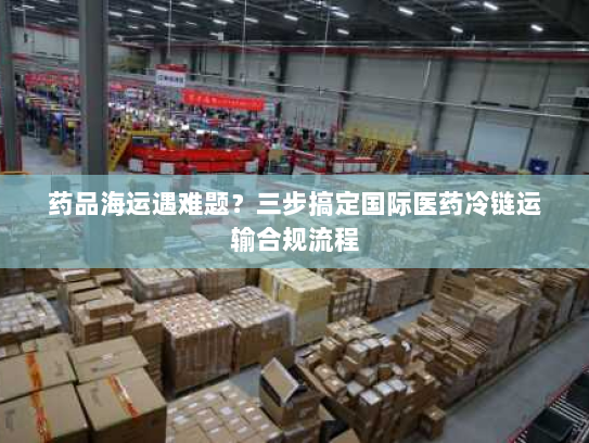 药品海运遇难题?三步搞定国际医药冷链运输合规流程 药品海运遇难题?三步搞定国际医药冷链运输合规流程