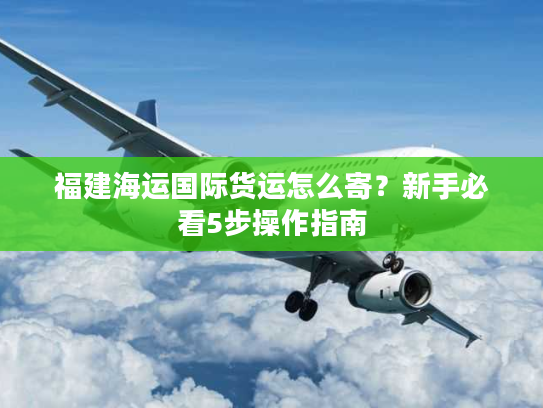 福建海运国际货运怎么寄?新手必看5步操作指南 福建海运国际货运怎么寄?新手必看5步操作指南