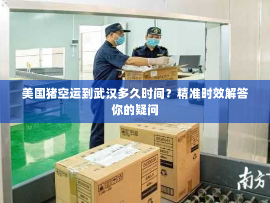 美国猪空运到武汉多久时间?精准时效解答你的疑问 美国猪空运到武汉多久时间?精准时效解答你的疑问