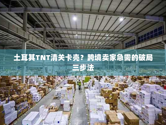 土耳其TNT清关卡壳?跨境卖家急需的破局三步法 土耳其TNT清关卡壳?跨境卖家急需的破局三步法