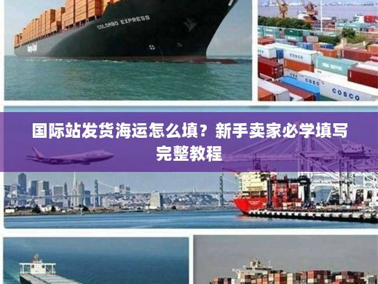 国际站发货海运怎么填？新手卖家必学填写完整教程