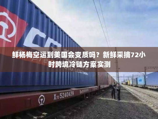 鲜杨梅空运到美国会变质吗？新鲜采摘72小时跨境冷链方案实测