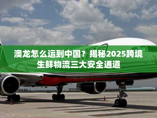 澳龙怎么运到中国？揭秘2025跨境生鲜物流三大安全通道