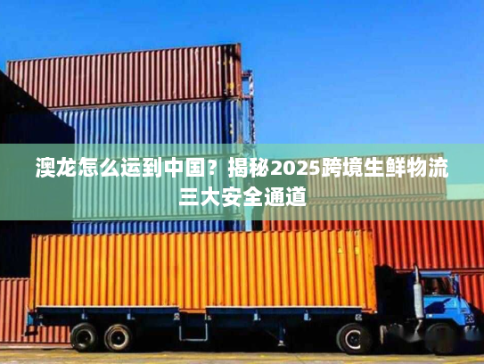 澳龙怎么运到中国?揭秘2025跨境生鲜物流三大安全通道 澳龙怎么运到中国?揭秘2025跨境生鲜物流三大安全通道