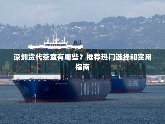深圳货代茶室有哪些?推荐热门选择和实用指南 深圳货代茶室有哪些?推荐热门选择和实用指南