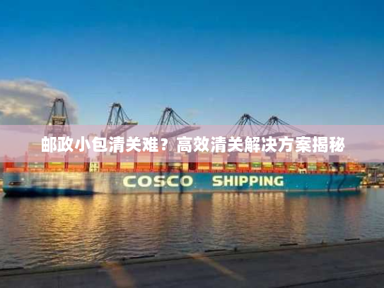 邮政小包清关难?高效清关解决方案揭秘 邮政小包清关难?高效清关解决方案揭秘