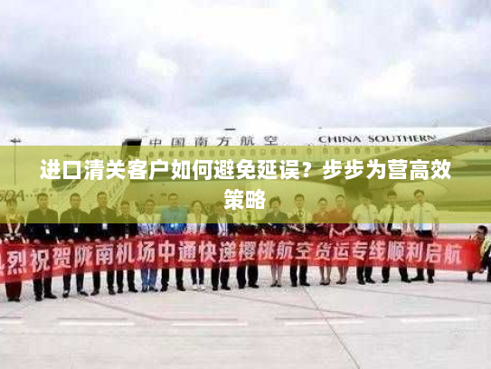 进口清关客户如何避免延误？步步为营高效策略