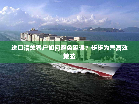 进口清关客户如何避免延误？步步为营高效策略