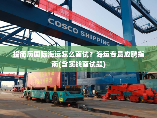 投简历国际海运怎么面试？海运专员应聘指南(含实战面试题)