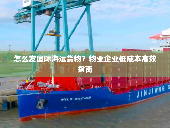 怎么发国际海运货物?物业企业低成本高效指南 怎么发国际海运货物?物业企业低成本高效指南