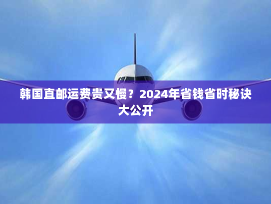 韩国直邮运费贵又慢?2024年省钱省时秘诀大公开 韩国直邮运费贵又慢?2024年省钱省时秘诀大公开