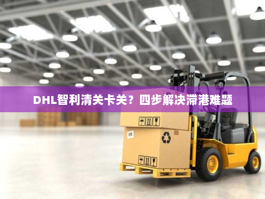 DHL智利清关卡关?四步解决滞港难题 DHL智利清关卡关?四步解决滞港难题