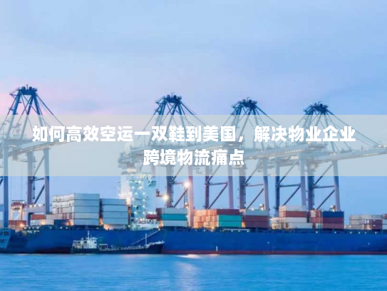 如何高效空运一双鞋到美国,解决物业企业跨境物流痛点 如何高效空运一双鞋到美国,解决物业企业跨境物流痛点