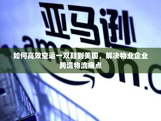 如何高效空运一双鞋到美国,解决物业企业跨境物流痛点 如何高效空运一双鞋到美国,解决物业企业跨境物流痛点