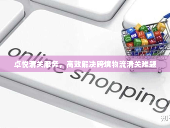 卓悦清关服务,高效解决跨境物流清关难题 卓悦清关服务,高效解决跨境物流清关难题