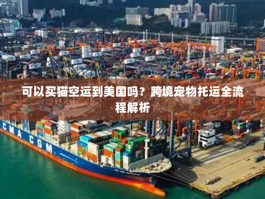 可以买猫空运到美国吗?跨境宠物托运全流程解析 可以买猫空运到美国吗?跨境宠物托运全流程解析