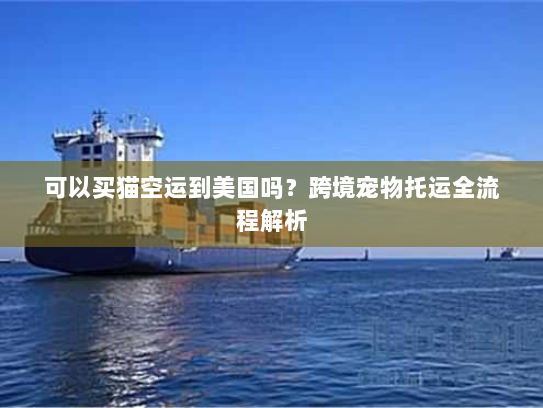 可以买猫空运到美国吗?跨境宠物托运全流程解析 可以买猫空运到美国吗?跨境宠物托运全流程解析
