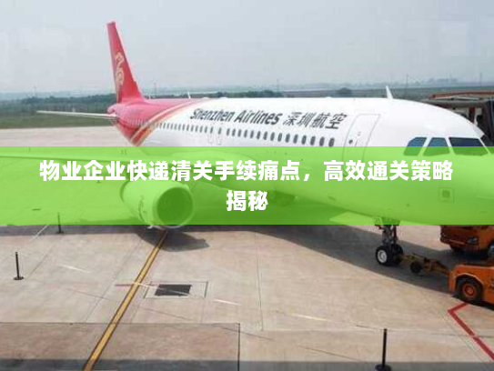 物业企业快递清关手续痛点,高效通关策略揭秘 物业企业快递清关手续痛点,高效通关策略揭秘
