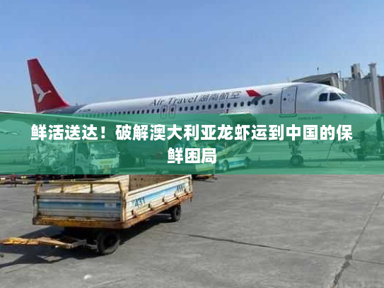 鲜活送达！破解澳大利亚龙虾运到中国的保鲜困局