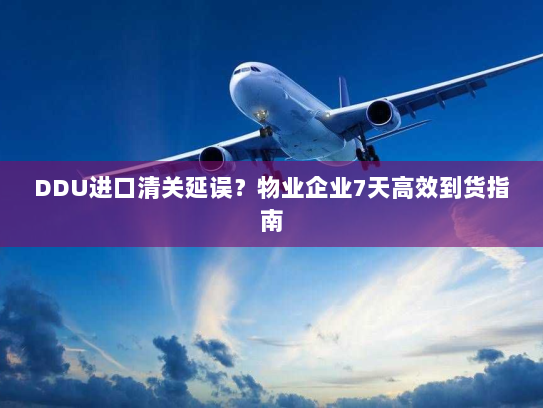 DDU进口清关延误?物业企业7天高效到货指南 DDU进口清关延误?物业企业7天高效到货指南