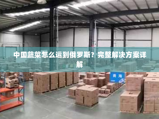 中国蔬菜怎么运到俄罗斯?完整解决方案详解 中国蔬菜怎么运到俄罗斯?完整解决方案详解