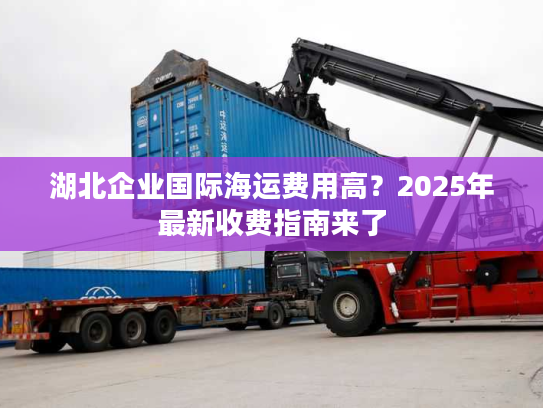 湖北企业国际海运费用高?2025年最新收费指南来了 湖北企业国际海运费用高?2025年最新收费指南来了