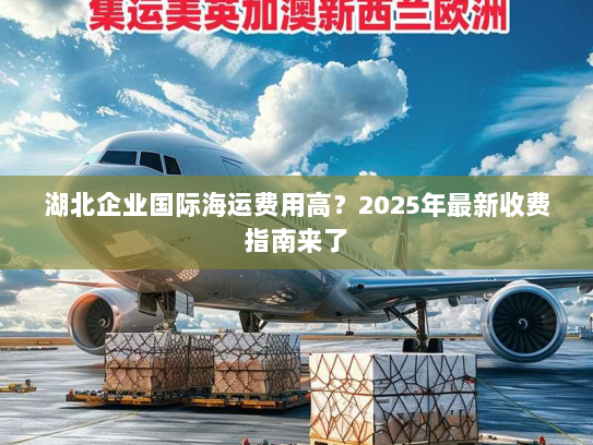 湖北企业国际海运费用高？2025年最新收费指南来了