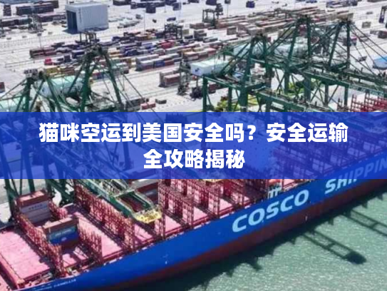 猫咪空运到美国安全吗？安全运输全攻略揭秘