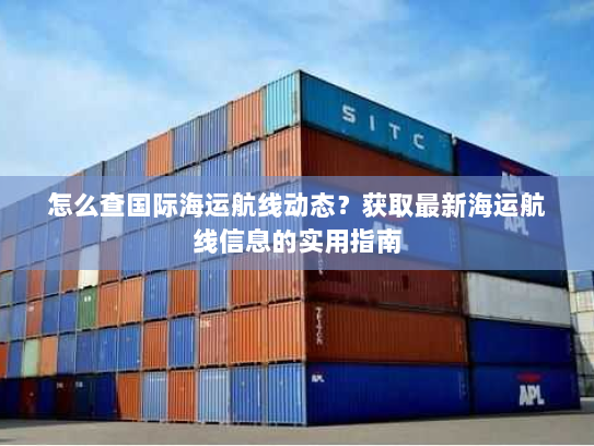 怎么查国际海运航线动态?获取最新海运航线信息的实用指南 怎么查国际海运航线动态?获取最新海运航线信息的实用指南