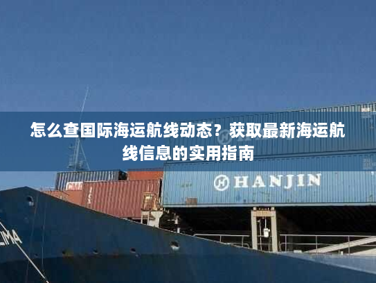 怎么查国际海运航线动态?获取最新海运航线信息的实用指南 怎么查国际海运航线动态?获取最新海运航线信息的实用指南