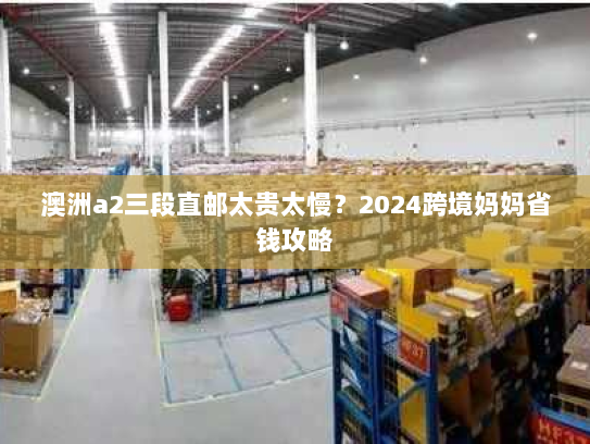 澳洲a2三段直邮太贵太慢?2024跨境妈妈省钱攻略 澳洲a2三段直邮太贵太慢?2024跨境妈妈省钱攻略