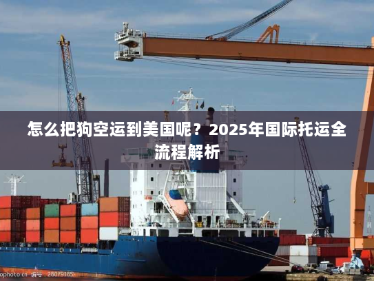 怎么把狗空运到美国呢？2025年国际托运全流程解析